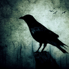 Crow.wav — SWOOP / Trap Sounds Exclusive
