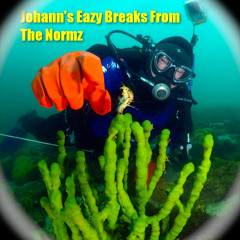 Johann's Eazy Breaks From The Normz <Liquid soul DnB Mix>