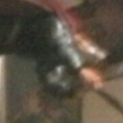 Toxic entertainment  at Home team 100