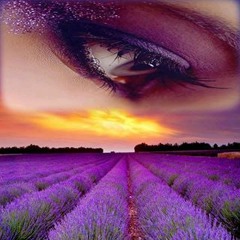 Chillout Songs