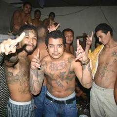 Enemigos Dolidos &quot;Pandilla MS 13&quot;