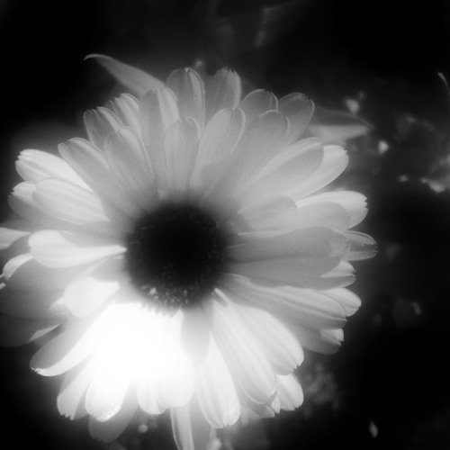 Please Don't Cut (Self Harm Song) - MikelWJ