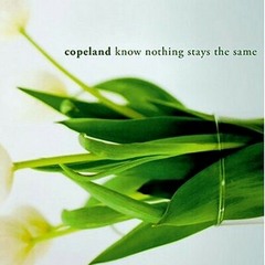 Another Day in Paradise by Copeland
