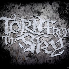Torn From The Sky - Scratch My Back And I'll Buy You A 30 Pack
