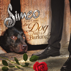 How Come The Dog Aint Barking (1)
