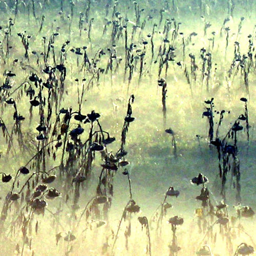 Dead Can Dance - Children Of The Sun (Instrumental By Neilbgr)