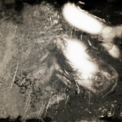 Nine Inch Nails-In This Twilight