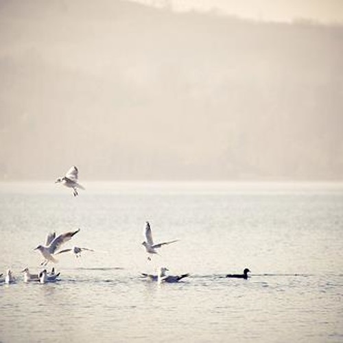 إنــي لمطرحٌ  ببآبِكـْ ,, فى رحاب الله :)