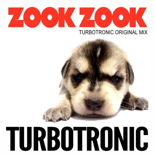 Turbo Tronic - Zook Zook (Extended Mix)