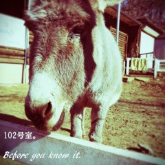 Before You Know It. （trailer）