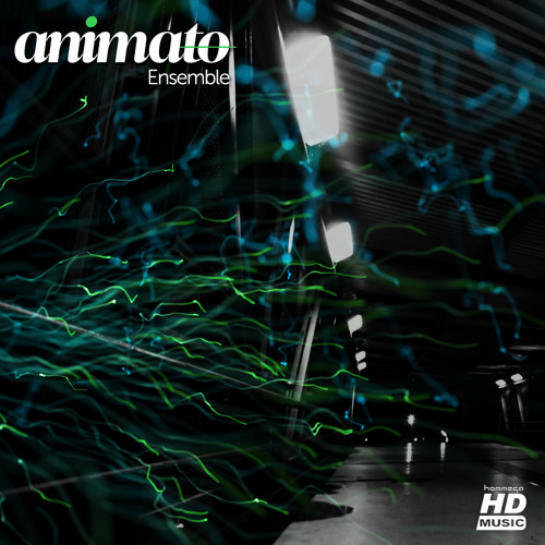 Animato - Perception