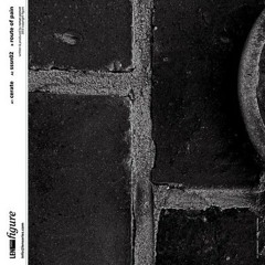 Roman Poncet - SSSN02 (Original Mix)