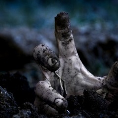 Ruidos de las tinieblas