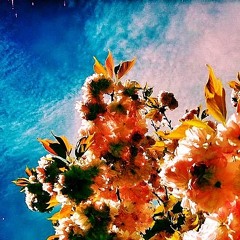 HuxDeBude  feat. Underlounge@Loisium set 2014