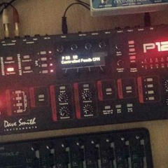 DSI Prophet 12 Patches - BoBSwanS Demo