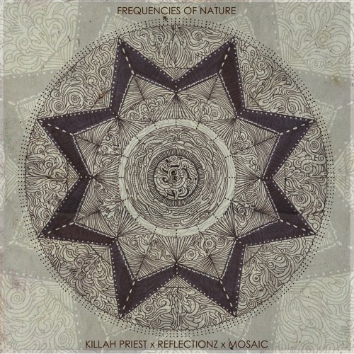 Frequencies Of Nature - Killah Priest x Reflectionz x Mosaic