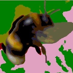 PnP - space ambient
