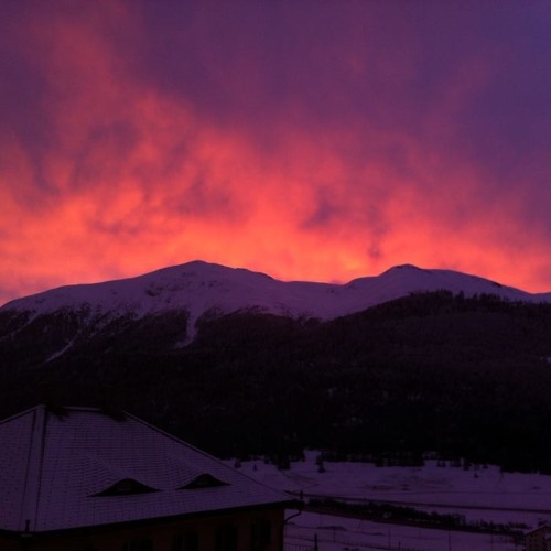 Bluelagoon - Sentimental Fools