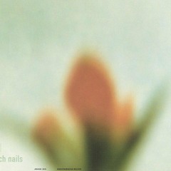 NIN