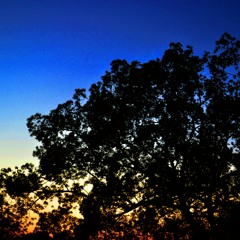 Macklemore & Ryan Lewis - Thrift Shop Vs Benjamin Francis Leftwich - Atlas Hands (Thomas Jack Remix)