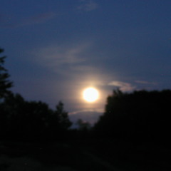 Amadis De Grece Recorded 7.6.2014