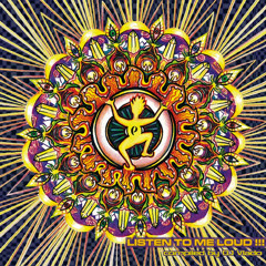 08 - Alternative control - Pukka musica