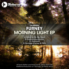 FURNEY + PHD - HOMAGE [TELLURIC] Clip