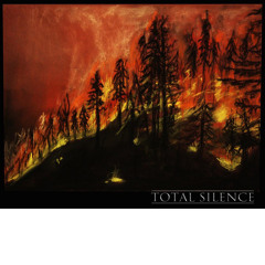 Total Silence (It!'s Sam Hell & Say Mumble)