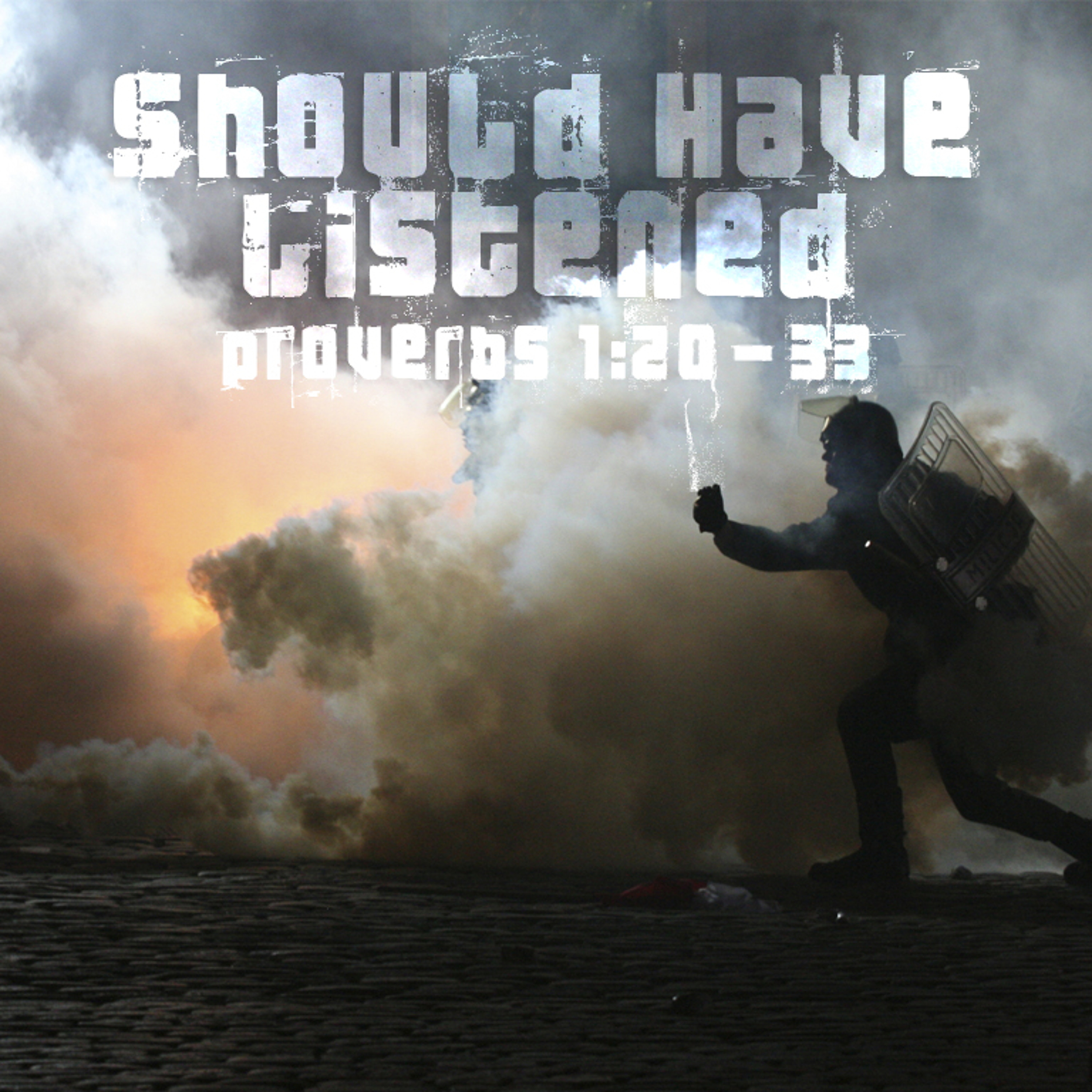 Should Have Listened episode artwork