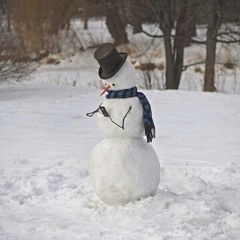 Do You Want to build a snowman?