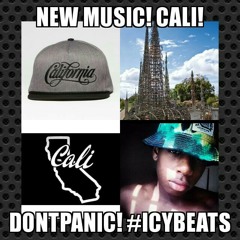 Dont Panic ft. DMX - Cali (Prod.by IcyBeatz) at Lancaster City Park