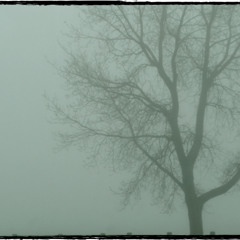 The January Sessions  [EP]