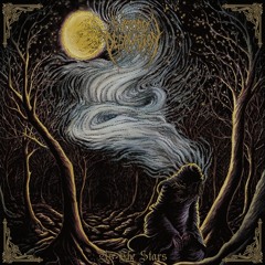 Woods of Desolation - Anamnesis