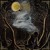 Artwork for Woods of Desolation - Anamnesis