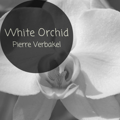 Pierre Verbakel - White Orchid(Original Mix)