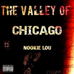 The valley of Chicago