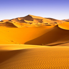 DJ Justin ft. Neady - Sahara [Preview]