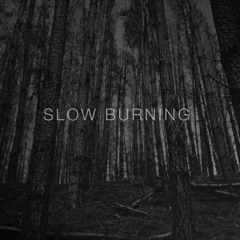 Slow Burning (Free Download) - Flamingo