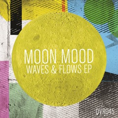 Waves & Flows