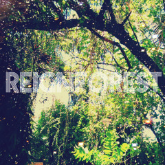 ┌eignf♚reϟ┬