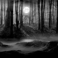 Dark Nigth (Unfinished)