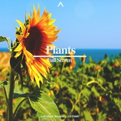 Plants (Original Mix)