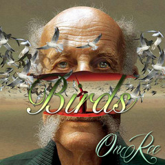 OnReeStarks ~ Birds