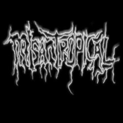 Misantropical - Worse