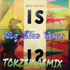 Hey Ocean! Big Blue Wave (TOKZEK Remix)