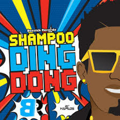 Ding Dong - Shampoo - Bassick Records - July 2014 [@DjMadAnts][@YardHype]