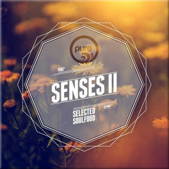 RAUMAKUSTIK - THIS SOUND // pure* records