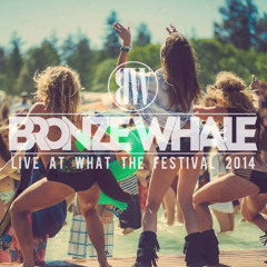 Live @ What The Festival 2014