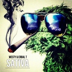 Westy + Erbal T - Sativa