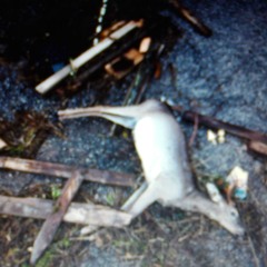 Fuck a world goverment